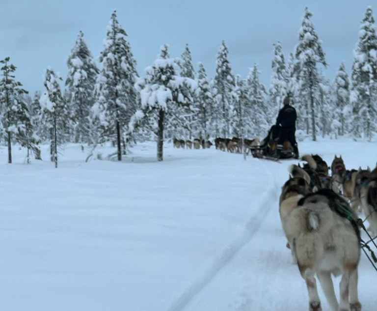 trineo de huskies en laponia