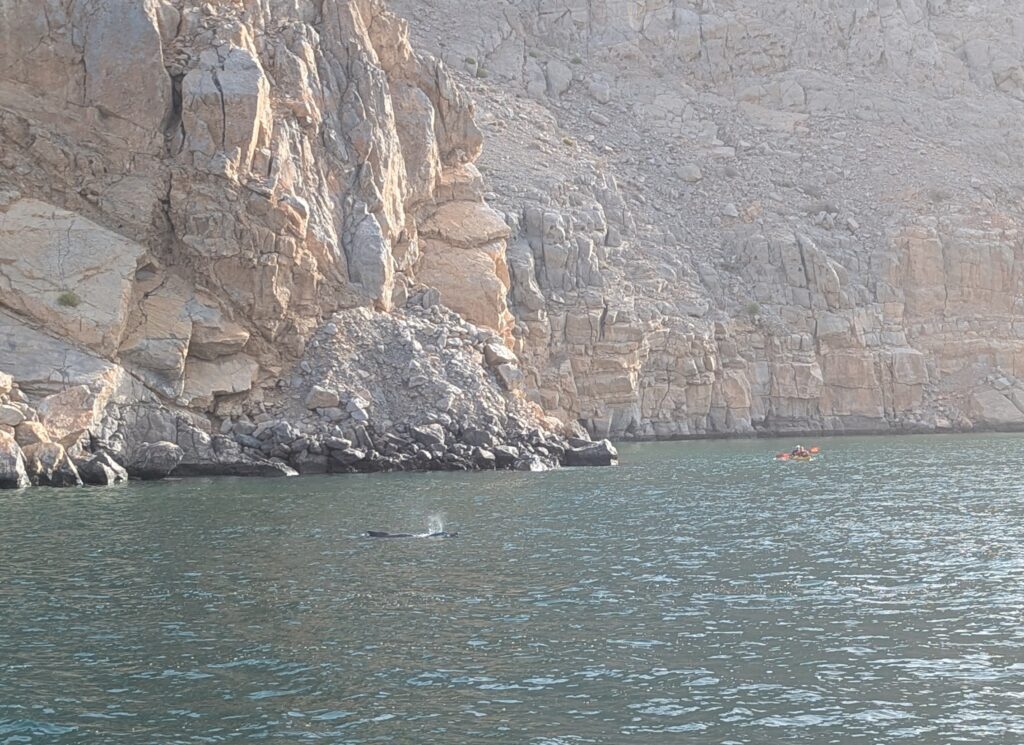 fiordos de musandam
