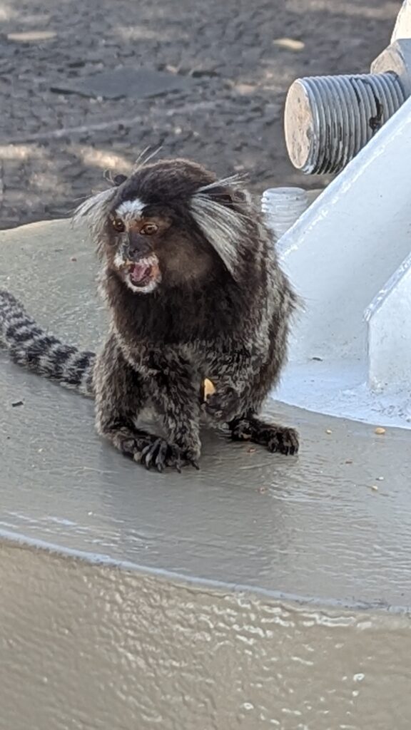 pan de azucar rio de janeiro