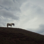 Valle de Skagafjördur