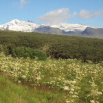 Parque Skaftafell